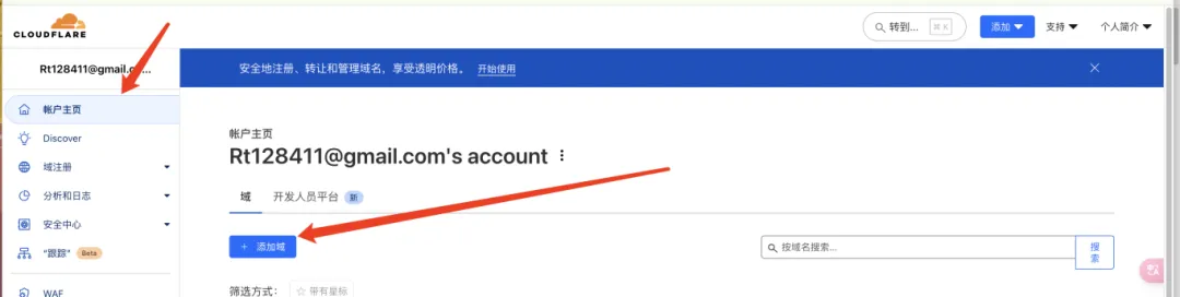 输入域名
